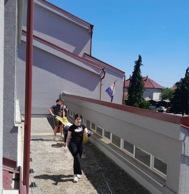 Ekološka akcija