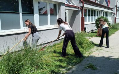 Apel za odgodu košnje – zaštitimo oprašivače!