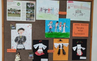 Projekt Slavonija u mom srcu